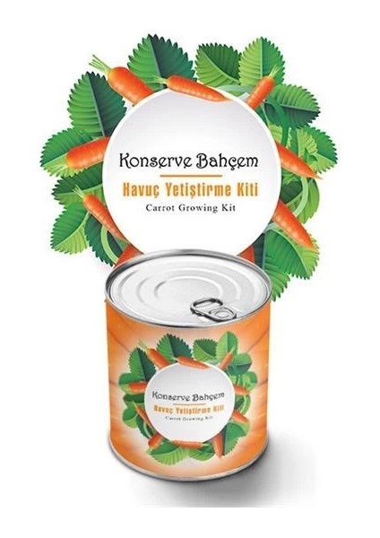 KRG02 Konserve Evde Konservede Havuç Yetiştirme Büyütme Kiti (Mulvix)