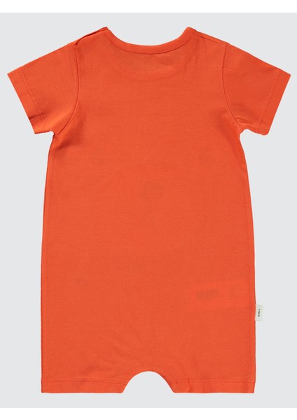 Erkek Bebek Patiksiz Tulum 6-18 Ay Narçiçeği fiyatları