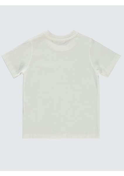 Erkek Çocuk Tişörtlü Gömlek 2-5 Yaş Gri fırsatları