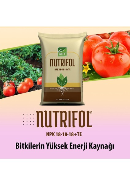 Nutrifol 18-18-18+Te ( 25 kg ) Gübre