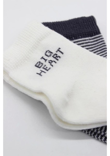 Nessiworld Bistyle Big Heart Penye Soket Çorap 2'li BS10117 Antrasit fırsatları