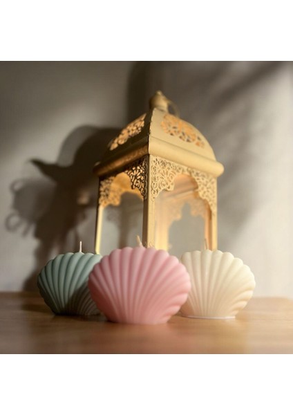 Oyster Soy Candle Small Triple - Istridye Soya Mumu El Yapımı Vegan Küçük 3'lü