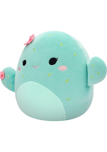 Kaktüs Graciela 20 cm CR06580