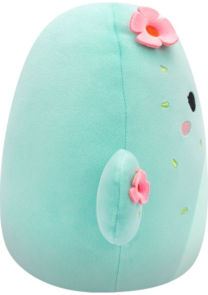 Kaktüs Graciela 20 cm CR06580