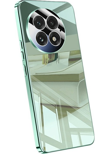 Oneplus 13 Elektro Kaplama Pc Telefonu Arka Kapak ile Kamera Lens Koruyucu (Yurt Dışından)