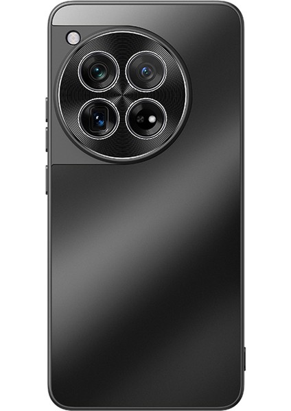 Oneplus 12 5g CD Damarları Pc+Tpu Kaymaz Telefon Kapağı (Yurt Dışından)