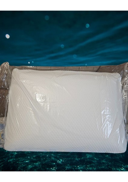 Visco Yastık Klasik 60X40X16