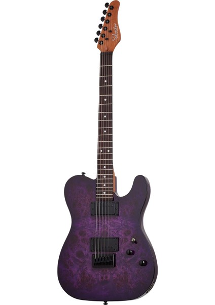 Pt Standard Elektro Gitar (Purple Burst Burl)