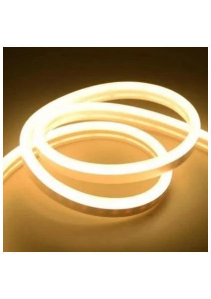 12V Neon LED 50 m Günışığı