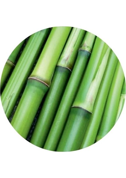 Bambu Yastık Alezi 50 x 70
