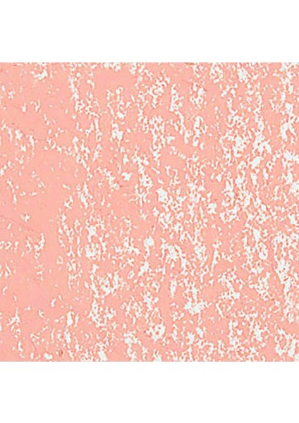 Neopastel Yumuşak Yağlı Pastel Salmon 051 fırsatları