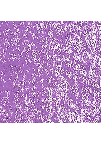 Neopastel Yumuşak Yağlı Pastel Mauve 111 fırsatları