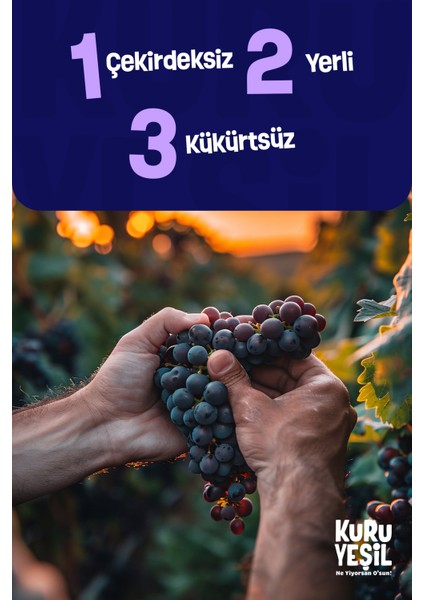 Dried Fruit - Kara Üzüm - Çekirdeksiz - Raisins - Black Raisins - Seedless - 2x250gr