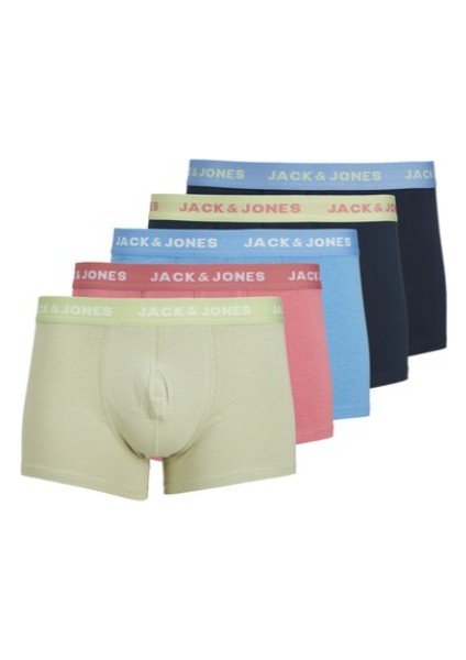 Erkek Renkli Boxer 12250226