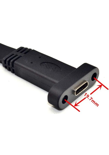 USB 3.1 Tip C Ön Panel Başlık Uzatma Kablosu, Tip E - USB 3.1 Tip C Kablo, Dahili Adaptör Kablosu, PANELLI(50CM) (Yurt Dışından)
