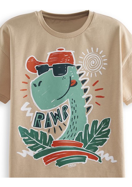 Summer Dino Erkek Çocuk T-Shirt Şort Takım indirimleri