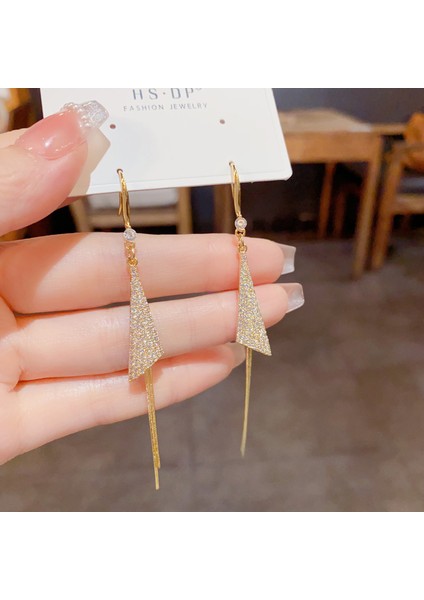 Popüler 925 Gümüş Iğne Küpe Klasik Geometrik Uzun Püskül Küpe (Yurt Dışından)