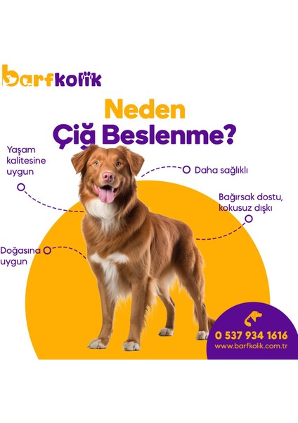4 kg Barfkolik Barf Qualıty Köpek Maması fırsatları