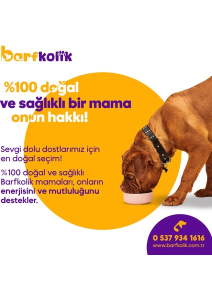 10 kg Barfkolik Barffood Köpek Maması 500 gr fiyatları