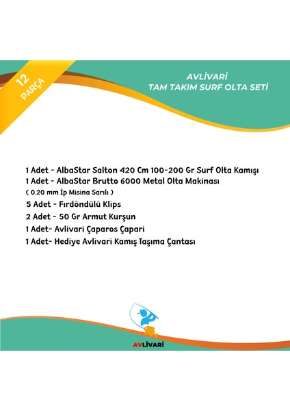 Salton 420 cm 100-200 gr Albastar Brutton 6000 Tam Takım Hobi Kıyı Surf Olta Seti fiyatları
