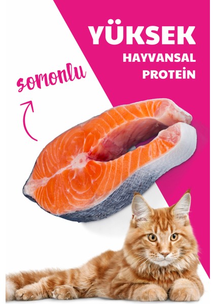 Kilo Almayı Önleyici Diyet Özellikte Somonlu ve Pirinçli Kısır Kedi Maması 20kg (2X10kg)