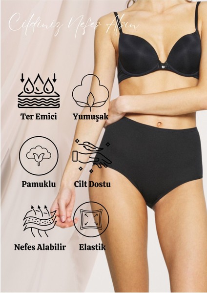 Pamuklu Battal Büyük Beden Kadın Külot Bato 5 Li Paket Likralı Yüksek Bel Geniş Kenarlı fiyatları