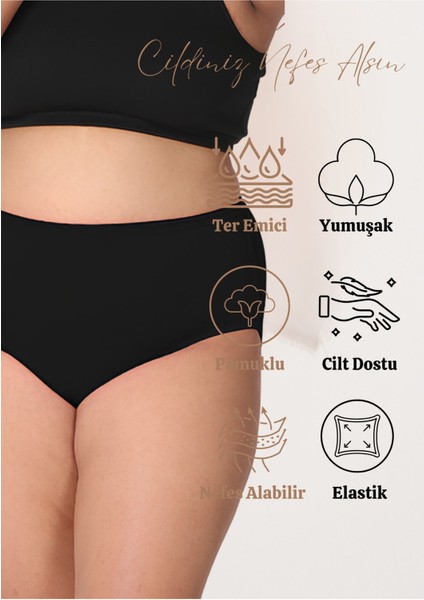 Yüksek Bel Büyük Beden Pamuklu Bato Kadın Külot 10'lu Paket (Battal Boy) fiyatları