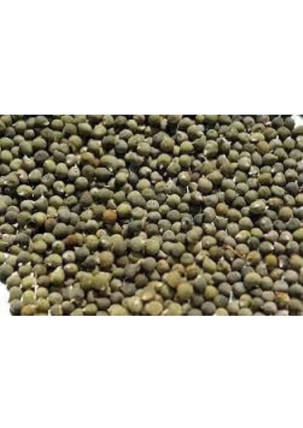 Bamya Tohumu Yerli 1 kg (Ilaçsız- Yenilebilir) Balıkesir Yeni Mahsül modelleri