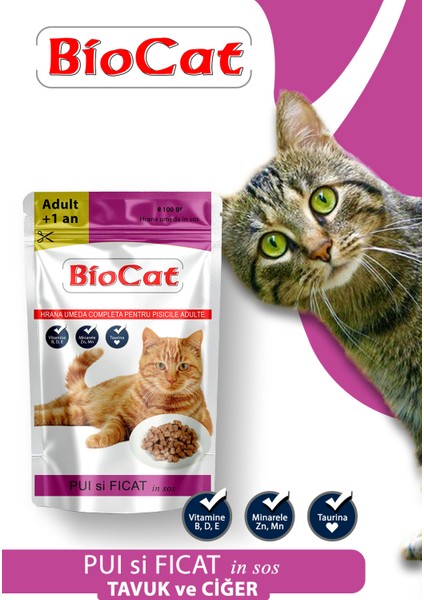 Soslu Kedi Yaş Maması Kedi Pounch 100gr x 5 adet fiyatları