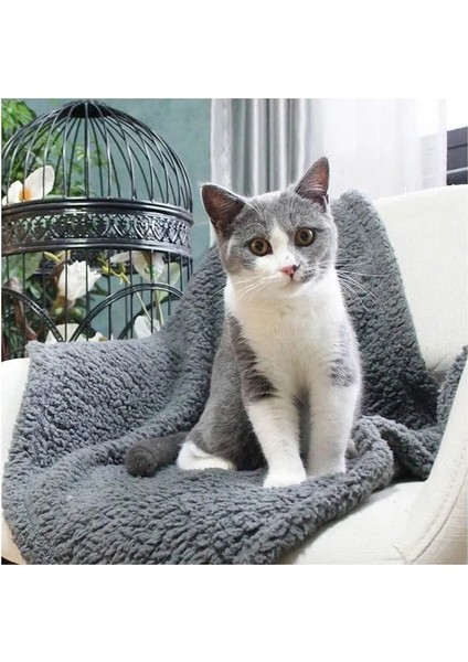 Peluş Kedi Battaniyesi