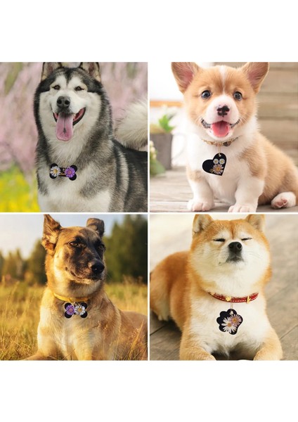 Epoksi Kedi Köpek Pati Tasma Silikon Epoksi Kalıbı fırsatları