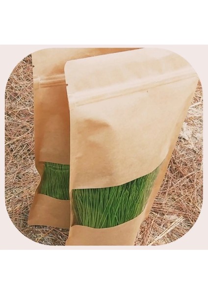 Doğal Yaş Çam Yaprağı Çay Çam Iğnesi Çayı 150 gr fiyatları