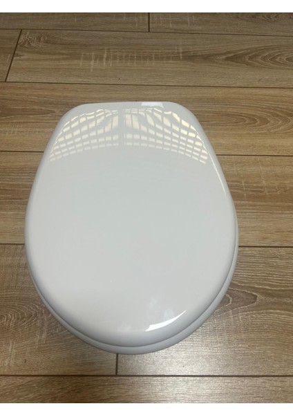 Klozet Kapağı Aqua Klasik Alttan Sıkmalı fırsatları