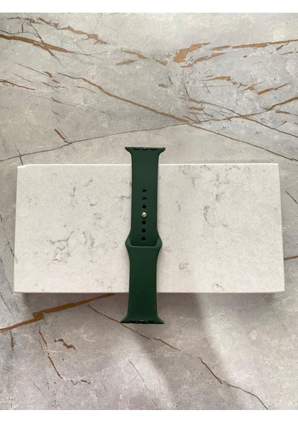 Apple Watch 42-44-46-48-49MM 10 9 8 7 6 5 4 Se Ultra Pro Starlink Solmaz Silikon Kordon Kayış