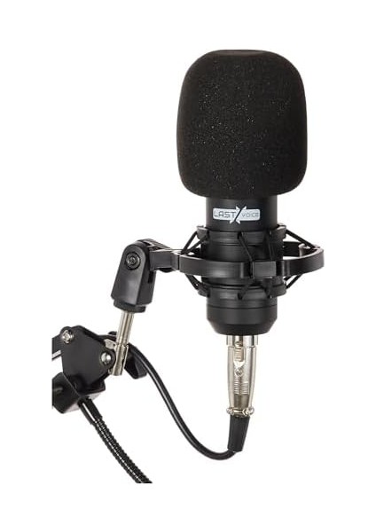 BM800BT Black Kondanser Mikrofon Stand Filtre Ses Kartı