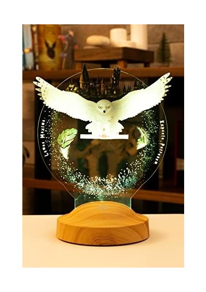 Potter Hediyesi Hogwarts Hedwig 3D LED Lamba, Hediye Baykuş Gece Lambası