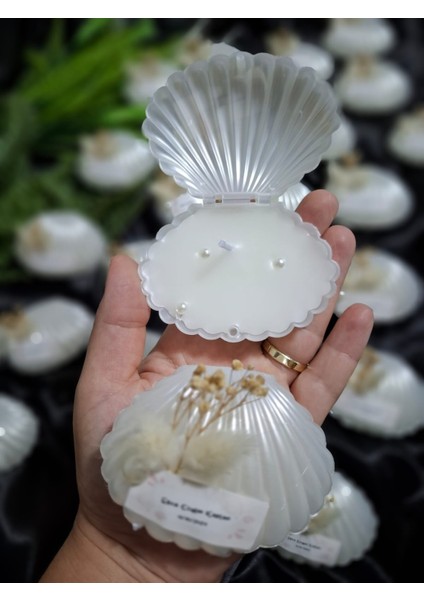 20 Adet Incili Istiridye Mum