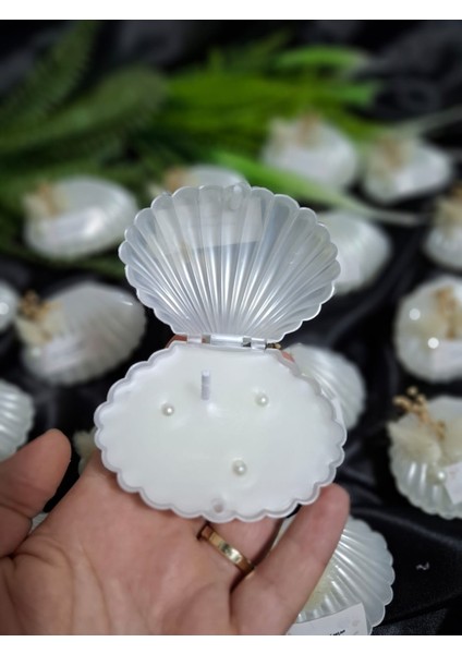 20 Adet Incili Istiridye Mum modelleri