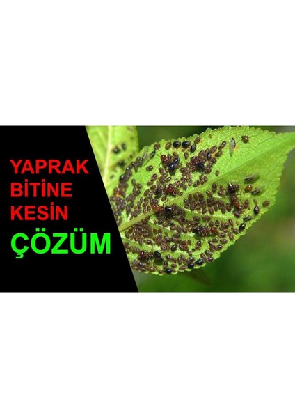 Yaprak Bitleri Ilacı
