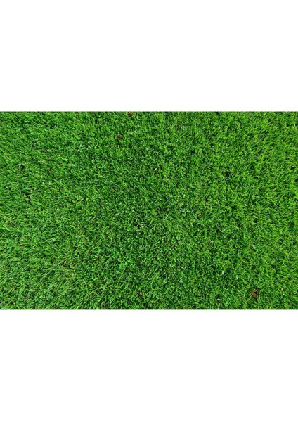 5 kg %21 Amonyum Sülfat Şeker Gübre Çim Gübresi Şeker Gübresi Bitki Canlandırır Kök Artırır