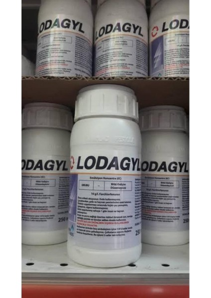 500 ml (Sıtofex)