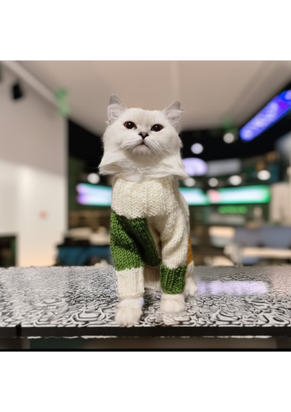 Kedi Köpek İçin Krem Dama Kazak fiyatları
