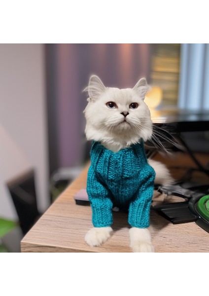 Kedi Köpek İçin Turkuaz Saç Örgülü Kazak fiyatları