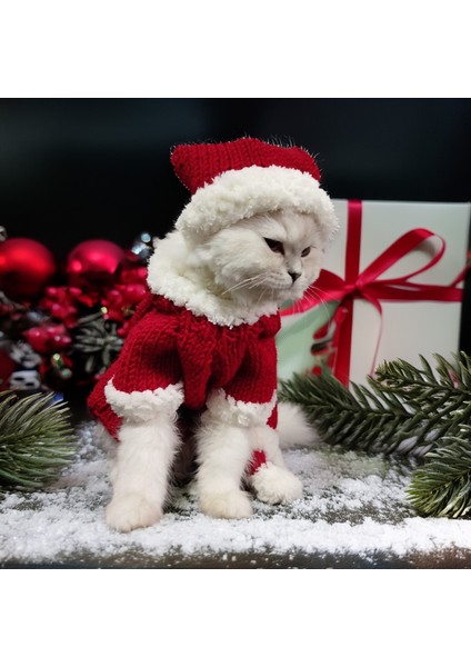 Kedi Köpek için Noel Anne Kostümü fiyatları
