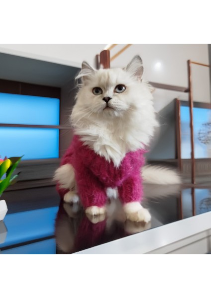 Kedi Köpek için Yumoş Saç Örgülü Tulum
