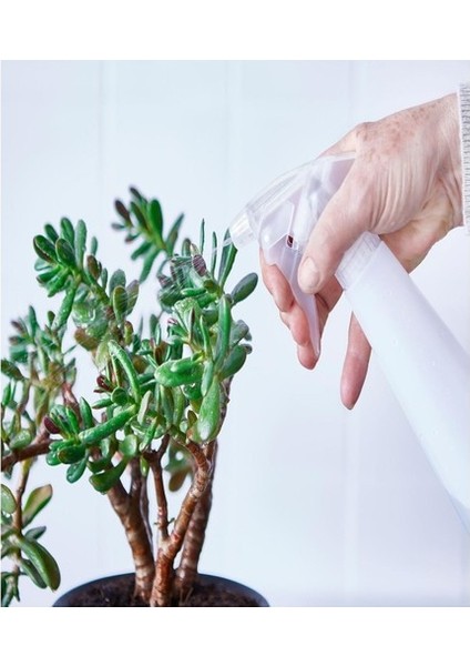 Çok Amaçlı Spreyli Şişe Şeffaf 350 ml