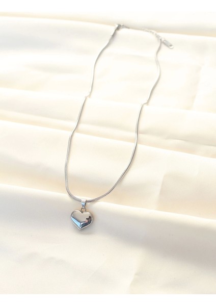 316L Çelik Gümüş Renk Kalp Kolye fiyatları