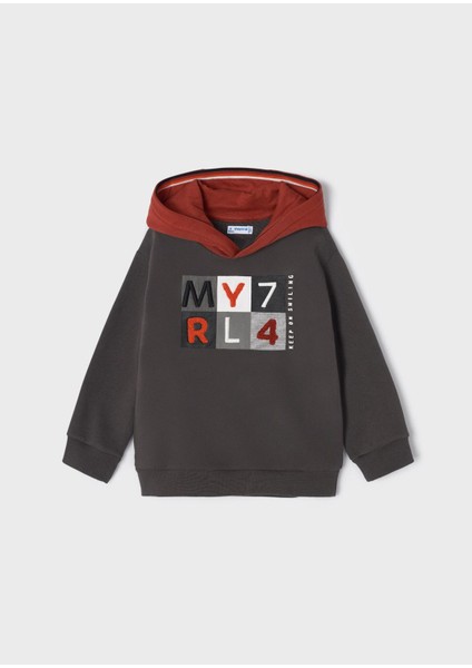 Erkek Çocuk Işlemeli Sweatshirt
