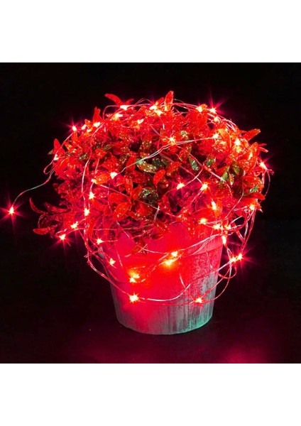 2 Metre Kırmızı LED Işık Kırmızı Yılbaşı Ağacı Işığı Noel Işığı Kırmızı Pilli LED Işık Red LED Light