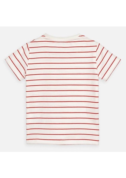 Erkek Çocuk Kısa Kol Çizgili Tişört fiyatları